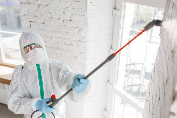 Best Airborne Mold Testing  in New River, AZ